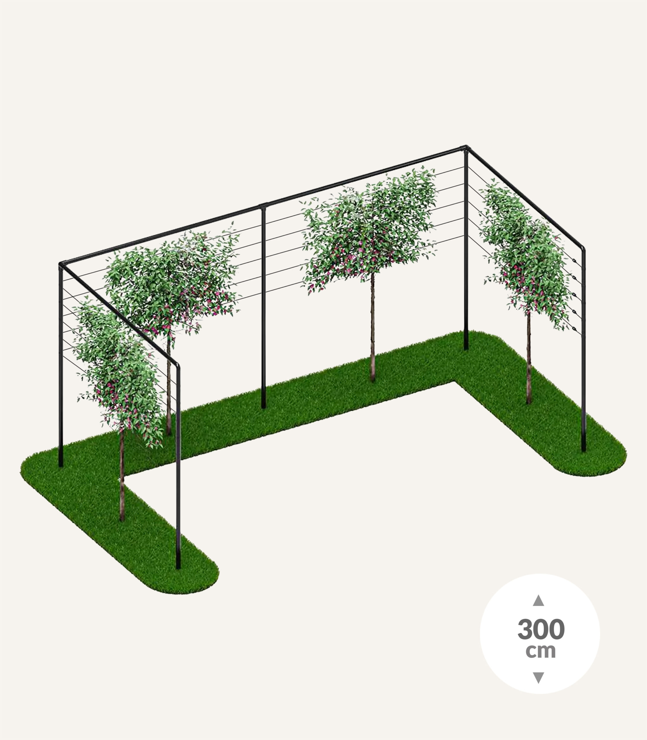 EGV041_Evergreens_Leirekscherm_pakket_6_1 - Evergreens
